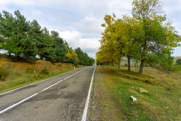 Asphalt road with markings along the hill. Beautiful autumn trees with green and yellow leaves. Perspective