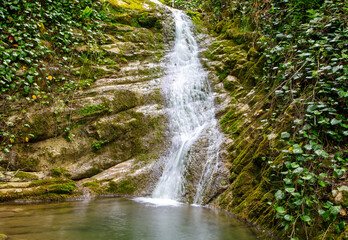Waterfall on the river in nature in summer