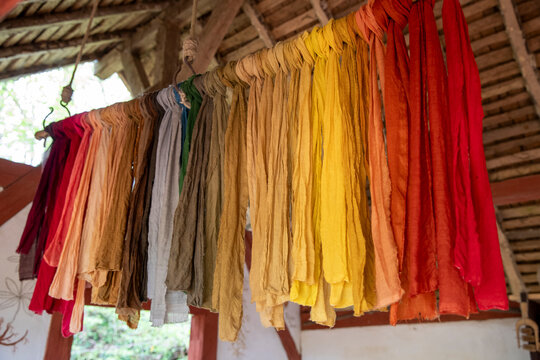 Ensemble tissus colorés avec de la poudre de pigment naturel à base d'herbes et de fleurs suspendu pour séchage.Teinture de la nature. Château Guédelon, France.