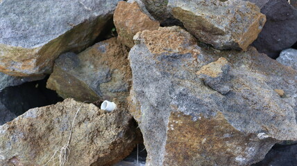 close up texture of rock fragments and soil as background