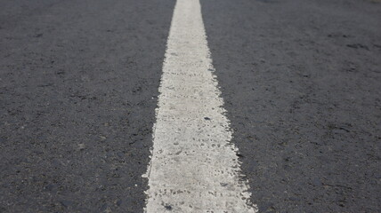 close up of the texture of a paved road in the middle of the forest