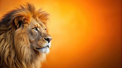 Majestic lion profile set against vibrant orange backdrop, lion, big cat, wild animal, nature, majestic, fierce, powerful