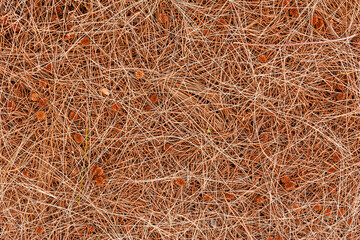 brown nature background of autumn fallen pine needles and leaves in a fall season forest. natural backdrop for concept and design