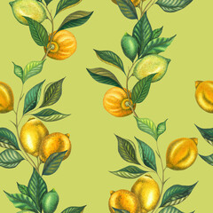 Watercolor seamless pattern with lemon branches and lime branch with leaves and green lemon. Hand painted yellow fruits isolated on light green background. Fresh citrus illustration for wrapping paper