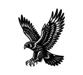 black falcon hand drawn vintage vector