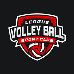 Volley Ball Logo Design Image