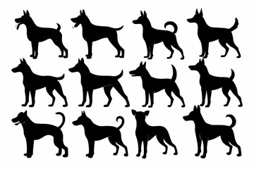 isolated black silhouette of a dog collection, Set of dog silhouette vector. Dogs and puppies in different breed, corgi, golden retriever, poses, sitting, standing, jump
