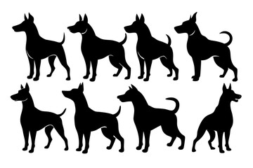 isolated black silhouette of a dog collection, Set of dog silhouette vector. Dogs and puppies in different breed, corgi, golden retriever, poses, sitting, standing, jump
