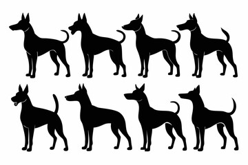 isolated black silhouette of a dog collection, Set of dog silhouette vector. Dogs and puppies in different breed, corgi, golden retriever, poses, sitting, standing, jump