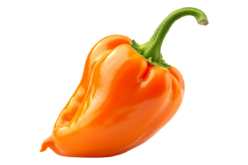 Orange Habanero chili pepper isolated on a white background.