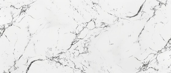 Obraz premium Panoramic close-up, high detail scan of Sivec White marble material, Generative AI