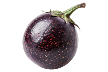 A single striped Globe purple eggplant is isolated on a white background.