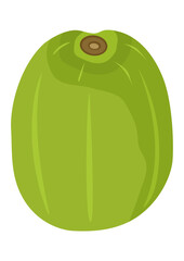 Fresh ripe kiwi without peel