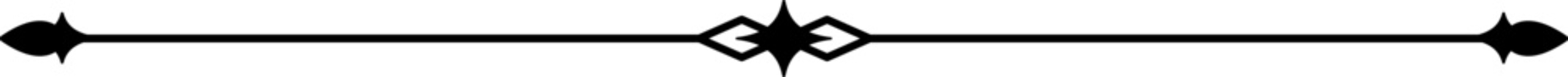 Elegant Divider Line