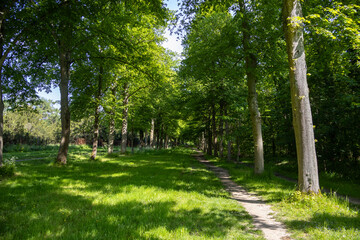 footpath in the park