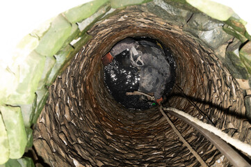 A man in the middle of a well cleans the bottom of dirt and accumulated silt.