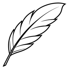 Fototapeta premium feather outline coloring book page line art illustration digital drawing