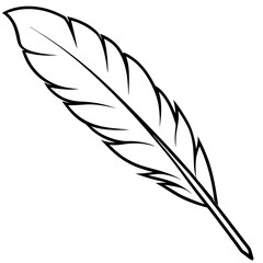 Obraz premium feather outline coloring book page line art illustration digital drawing