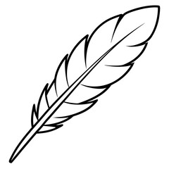 Fototapeta premium feather outline coloring book page line art illustration digital drawing