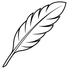 Fototapeta premium feather outline coloring book page line art illustration digital drawing