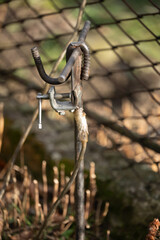 Elementary electrical grounding when working on an electrical transmission line.