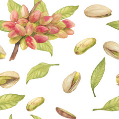 Seamless pattern with pistachio tree fruits, pistachio nuts, leaves watercolor illustration. Botanical drawing sketch stylized. Hand drawn, suitable for food packaging design