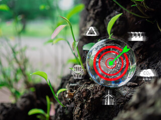 A glass sphere with a dart board on it. Spheres set on a wooden floor with various icons and...