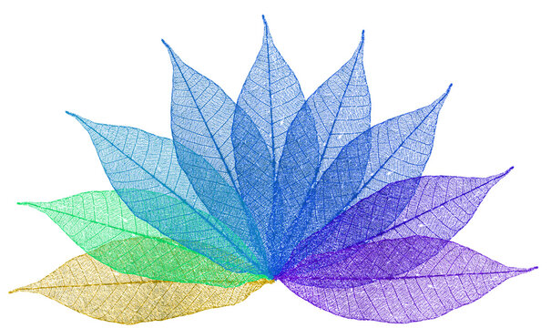 feuilles d&eacute;structur&eacute;es couleurs 