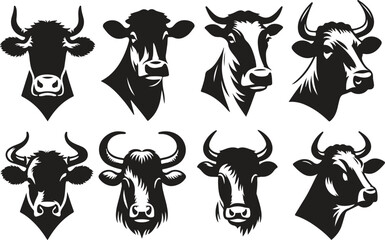 set of black and white cows