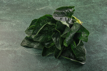 Ripe green spinach leaves heap