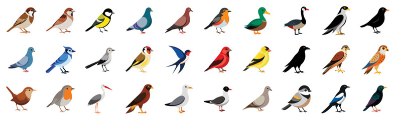 Collection of city birds icons, vector cartoon illustration. Features sparrow, pigeon, robin, black crow, blue jay, goldfinch, mockingbird, owl.