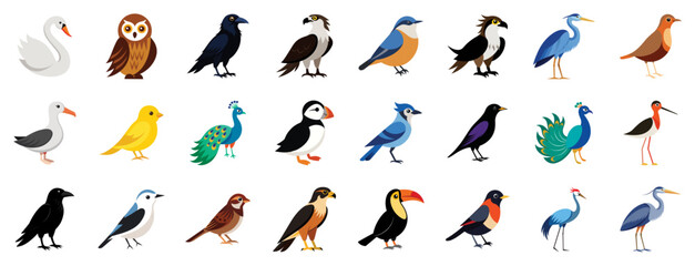 Collection of various bird species icons, vector cartoon illustration. Features swan, owl, raven, peacock, falcon, toucan, puffin.