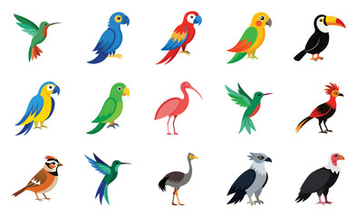South american bird species icons, vector cartoon illustration. Includes parrot, condor, toucan, hummingbird, blue-and-yellow macaw, harpy eagle.
