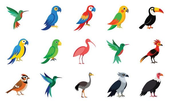 South american bird species icons, vector cartoon illustration. Includes parrot, condor, toucan, hummingbird, blue-and-yellow macaw, harpy eagle.