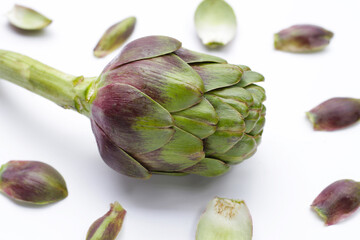 Obraz premium Purple artichoke on white background.