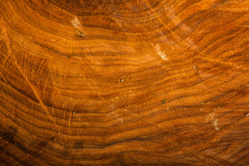 Dark wooden texture. Wood brown texture. Background old panels. Retro wooden table. Rustic background. Vintage colored surface.