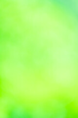Green color bokeh, Green bacground, Blurred nature bokeh ure for the background