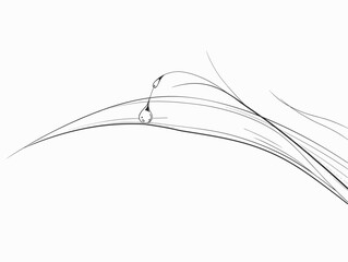 Fototapeta premium The Essence of Vitality: A Single Line Depicting a Dewdrop's Kiss on a Serene Leaf