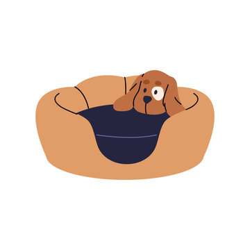 recommend clip art: Cute bed for puppy. Soft basket for cats. Adorable cushion for dogs. Supplies, furniture for pet sleeping. Cot, nest, pillow for domestic animal. Flat isolated vector illustration on white background