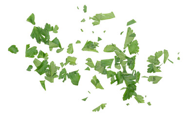 Chopped fresh green celery leaves isolated on white background and texture, top view