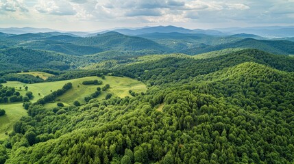 Obraz premium Sprawling green forest carpets rolling mountains under azure sky with puffy white clouds. Sunlight casts shadows, creating depth and texture across lush landscape.