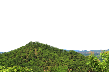 Natural panoramas, mountains, trees, rice fields isolated on white background.