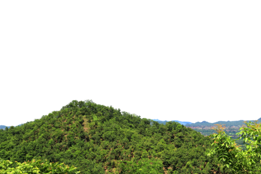 Natural panoramas, mountains, trees, rice fields isolated on white background. - Powered by Adobe