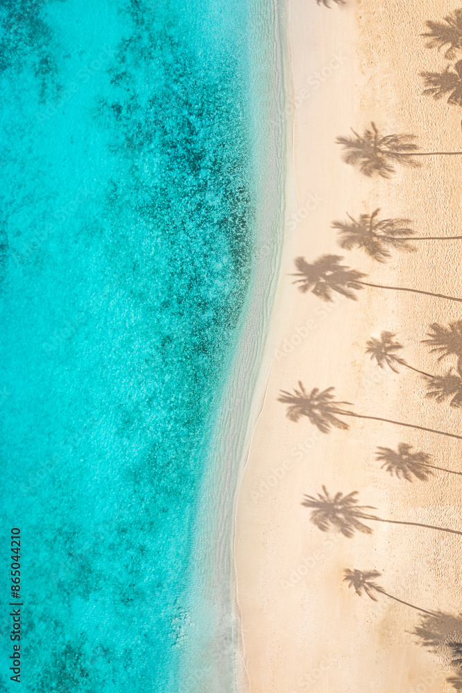 Poster Aerialparadise. Beautiful palm tree shadows on sandy beach, turquoise ocean from above. Amazing summer nature landscape pattern. Stunning sunny beach scene, relax peaceful inspirational beach vacation