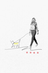 Fototapeta premium Vertical poster collage young carefree cheerful woman walk outdoors pet cat domestic animal companion drawing best friend petshop