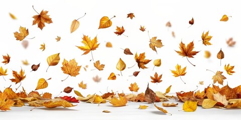 autumn leaves background