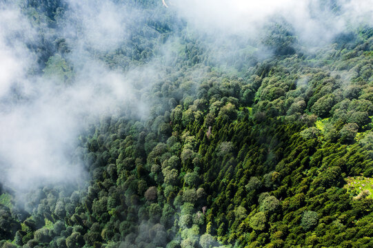 Clouds enveloping dense forests on the slopes of Gomismta, creating a mysterious and enchanting mountain atmosphere, aerial top view