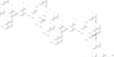 Background with hexagons . Abstract background with lines . white texture background . white and hexagon abstract background. white paper texture and futuristic business .