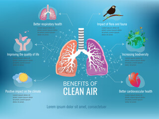 Clean air for a blue sky concept.Benefits of clean air include better respiratory health, increased bird variety