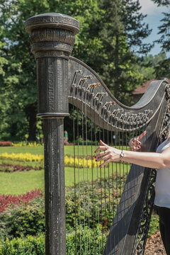 osoba grająca na instrumentach w parku